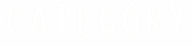 カテゴリー